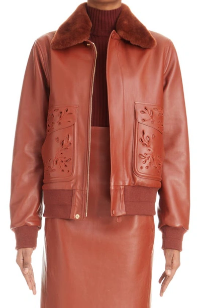 Chloé Broderie Anglaise Leather & Genuine Shearling Bomber Jacket In Intense Brown