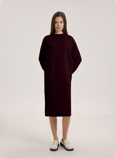 Nap Loungewear Mock Neck Camel Hair Dress In Deep Coffee