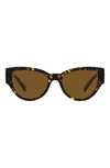 Versace 55mm Polarized Cat Eye Sunglasses In Havana/ Polarized Brown