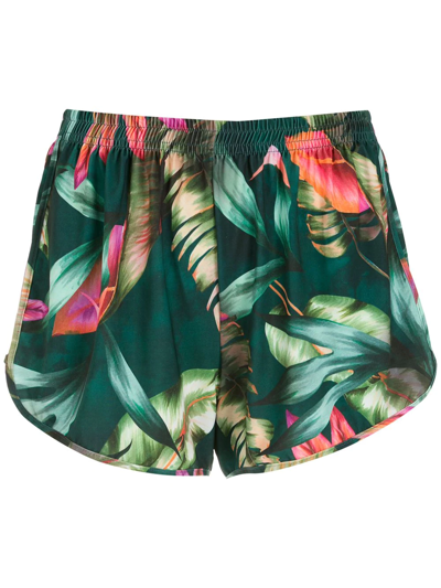 Lygia & Nanny Lee Leaf-print Shorts In Green