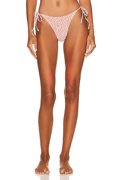 Matteau String Brief Bikini Bottom In Starflower