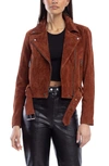 Blanknyc Suede Moto Jacket In Sun Valley