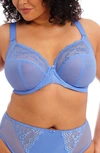 Elomi Charley Full Figure Underwire Convertible Plunge Bra In Cornflower