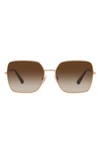 Dolce & Gabbana 57mm Gradient Square Sunglasses In Pink Gold/ Gradient Brown