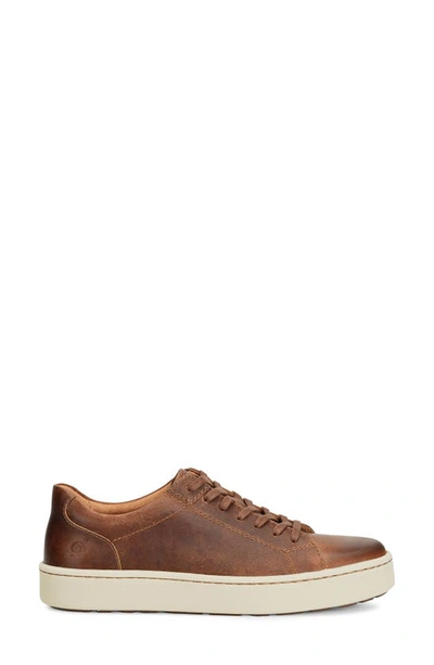 Brn Born Ashram Ii Lace-up Sneaker In Rust Natural