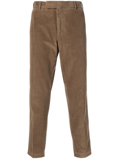 Pt Torino Straight-leg Trousers In Chino Pigmento