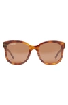 Balenciaga 52mm Square Rectangle Sunglasses In Havana Brown