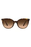Versace Phantos 55mm Gradient Sunglasses In Havana/ Brown Gradient