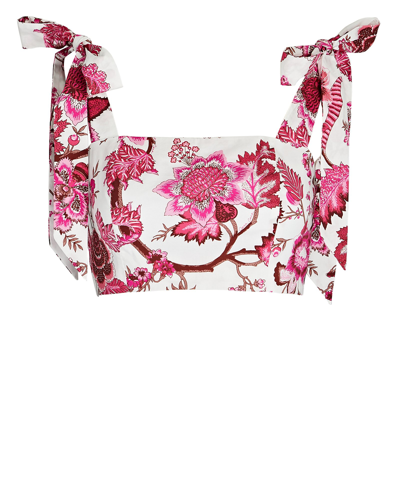 Cara Cara Jill Tie-shoulder Floral Crop Top In Pink