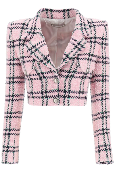 Alessandra Rich 格纹短款西装夹克 In Pink