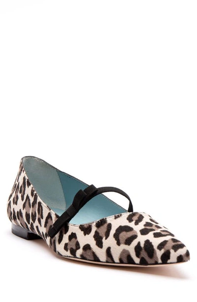 Frances Valentine Pamela Genuine Calf Hair Flat In Snow Leoparddnu