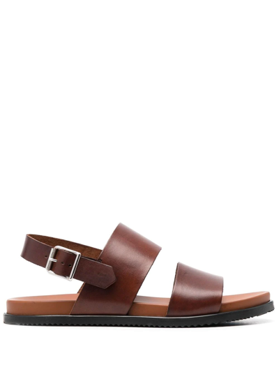 Scarosso Antonio Slingback Leather Sandals In Brown