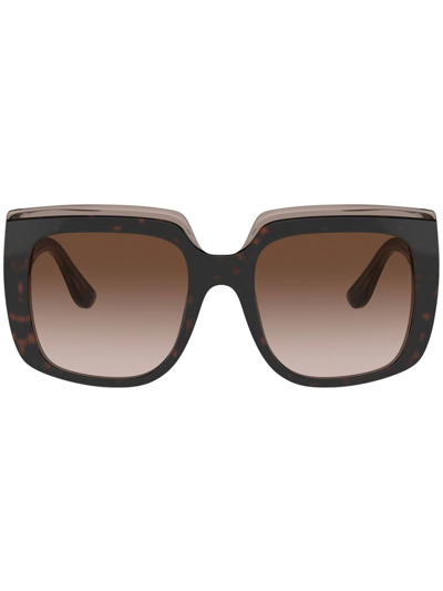 Dolce & Gabbana Square-frame Sunglasses In Brown