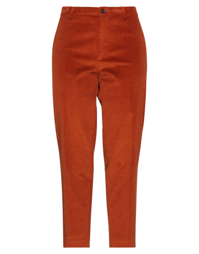 Berwich Pants In Rust