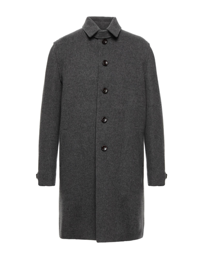Loden Tal Coats In Grey