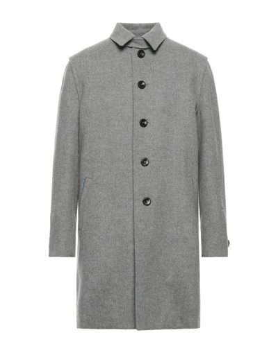 Loden Tal Coats In Light Grey