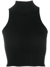 Aeron Lulu Sleeveless Ribbed Turtleneck Top In Black