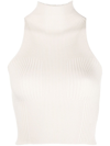 AERON RIBBED-KNIT ROLL NECK TOP
