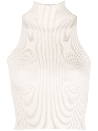 Aeron Ribbed-knit Roll Neck Top In Neutrals