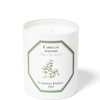 CARRIERE FRERES CARRIÈRE FRÈRES SCENTED CANDLE TEA PLANT - CAMELLIA SINENSIS - 185 G