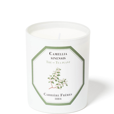 Carriere Freres Carrière Frères Scented Candle Tea Plant - Camellia Sinensis - 185 G