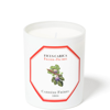 CARRIERE FRERES CARRIÈRE FRÈRES SCENTED CANDLE FIG TREE - FICUS CARICA - 185 G