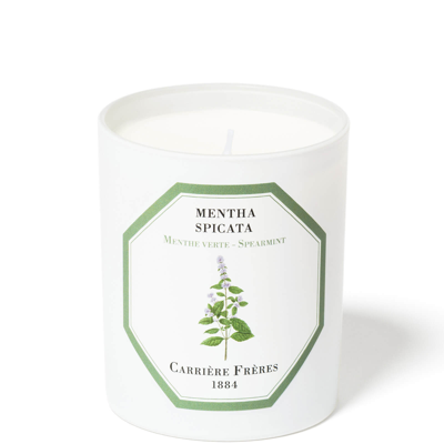 Carriere Freres Carrière Frères Scented Candle Spearmint - Mentha Spicata - 185 G