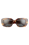 Celine Triomphe Rectangular Acetate Sunglasses In Blonde Havana