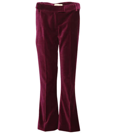 Giuliette Brown Violet Flare Woven Pants In Purple,burgundy