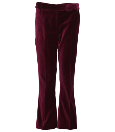 Giuliette Brown Violet Flare Woven Pants In Red,burgundy