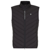 Emporio Armani Quilted Nylon Sleeveless Down Jacket In Black