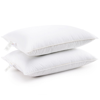 Cheer Collection Luxury Goose Down Alternative Pillows (set Of 2) In White
