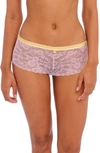 Freya Offbeat Lace Boyshorts In Macaron