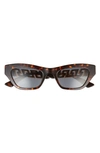 Versace 52mm Cat Eye Sunglasses In Havana