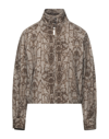 Alberta Ferretti Jackets In Brown