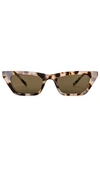 Aire Polaris 49mm Cat Eye Sunglasses In Brown