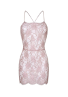 Gilda & Pearl Gilded Macaron Lace Slip