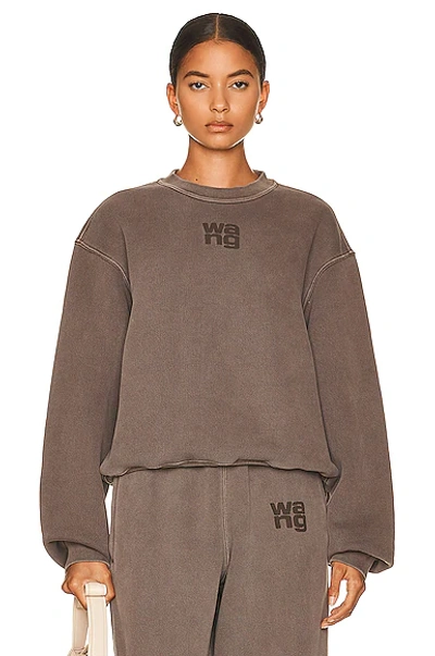 Alexander Wang T Puff Paint Logo Essential Sweatshirt In Brown