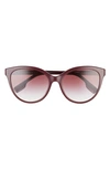 Burberry 55mm Gradient Cat Eye Sunglasses In Bordeaux