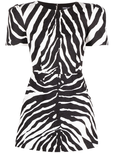 Dolce & Gabbana Zebra-print Short-sleeve Dress In Monochrome