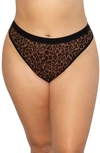 Curvy Couture Sheer Mesh Hi-cut Thong In Designer Leopard