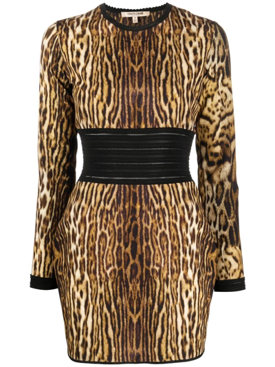 Roberto Cavalli Leopard-print Fitted Minidress In Light Brown