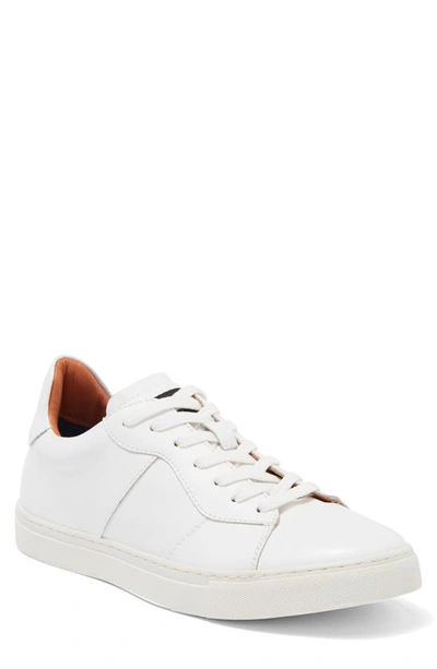 Madden Sompor Sport Sneaker In White