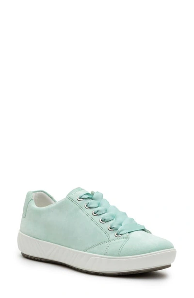Ara Alexandria Suede Sneaker In Water