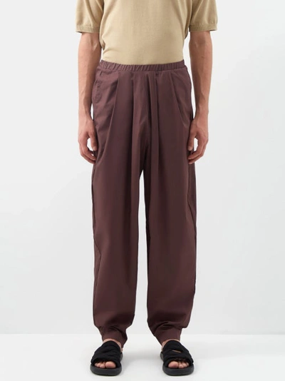 Albus Lumen Fisherman Pleated Cotton-canvas Trousers In Brown