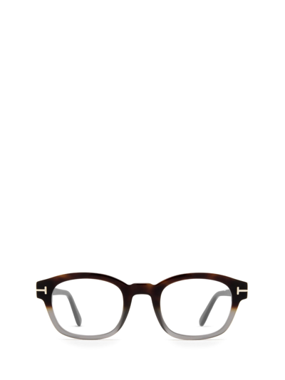 Tom Ford Ft5808-b Coloured Havana Glasses