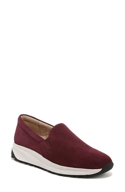 Naturalizer Selah Slip-on Sneakers Women's Shoes In Cabernet Sauvignon Red Suede