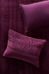 Anthropologie Lustered Velvet Alastair Shams, Set Of 2 By  In Purple Size S2 Qn Sham
