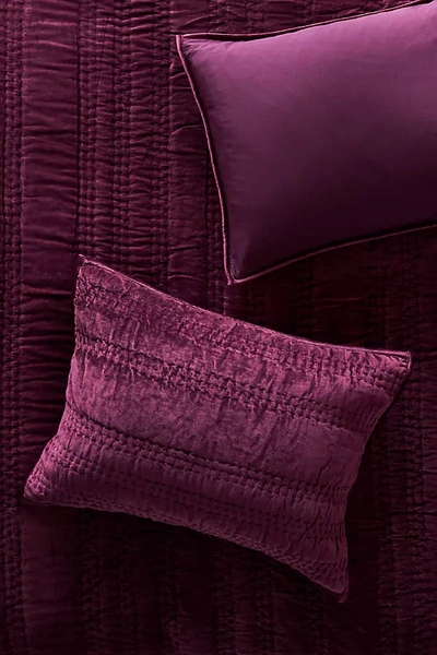 Anthropologie Lustered Velvet Alastair Shams, Set Of 2 By  In Purple Size S2 Qn Sham In Purple
