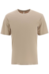 Sunflower Day Tee In Khaki (beige)